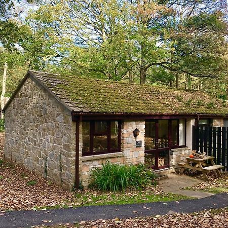 Cosy Woodland Home Uny Lelant Εξωτερικό φωτογραφία