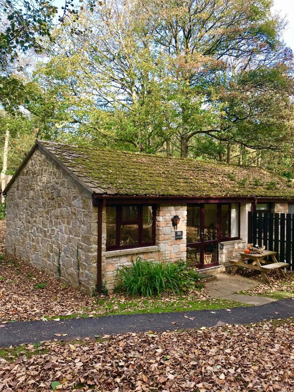 Cosy Woodland Home Uny Lelant Εξωτερικό φωτογραφία