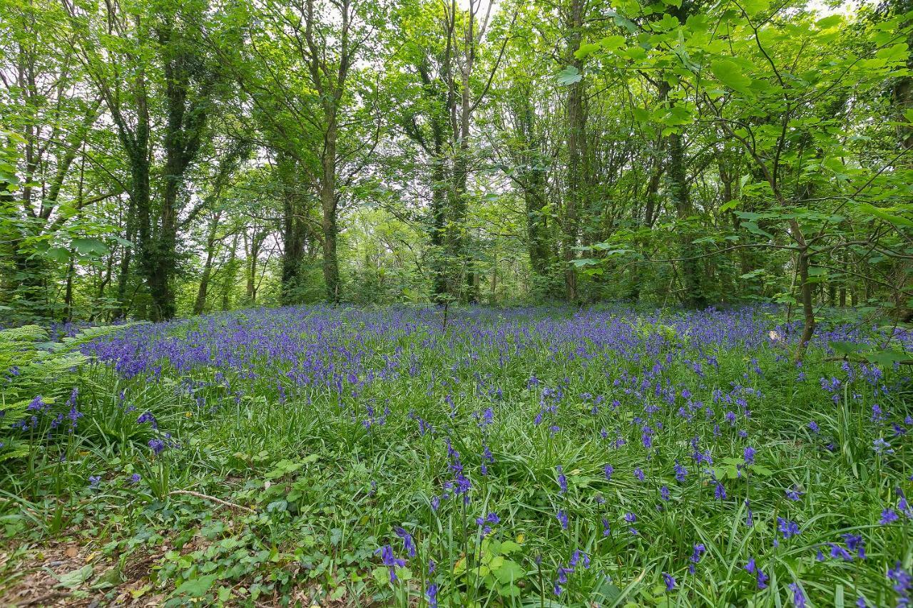 Cosy Woodland Home Uny Lelant Εξωτερικό φωτογραφία