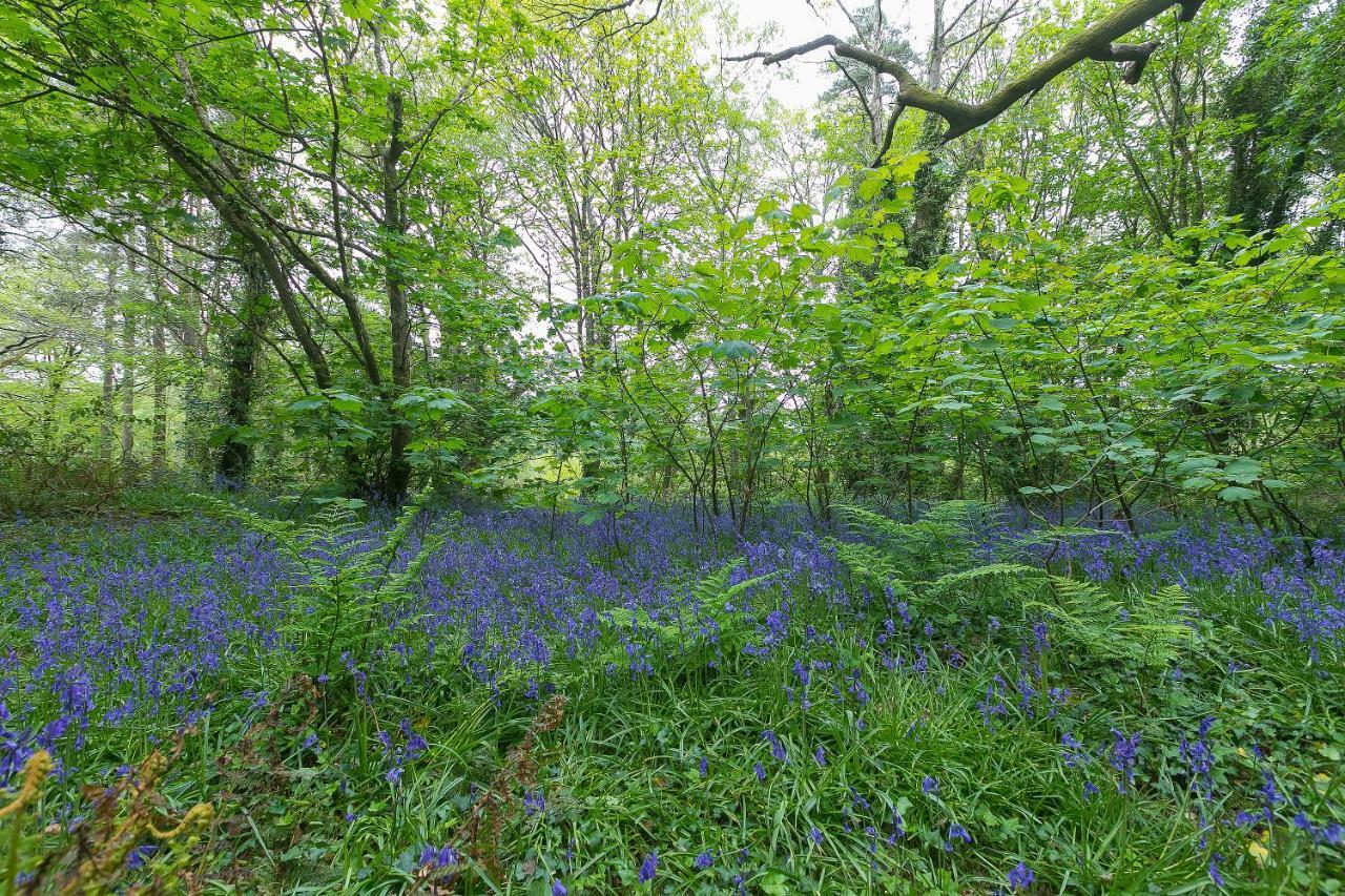 Cosy Woodland Home Uny Lelant Εξωτερικό φωτογραφία