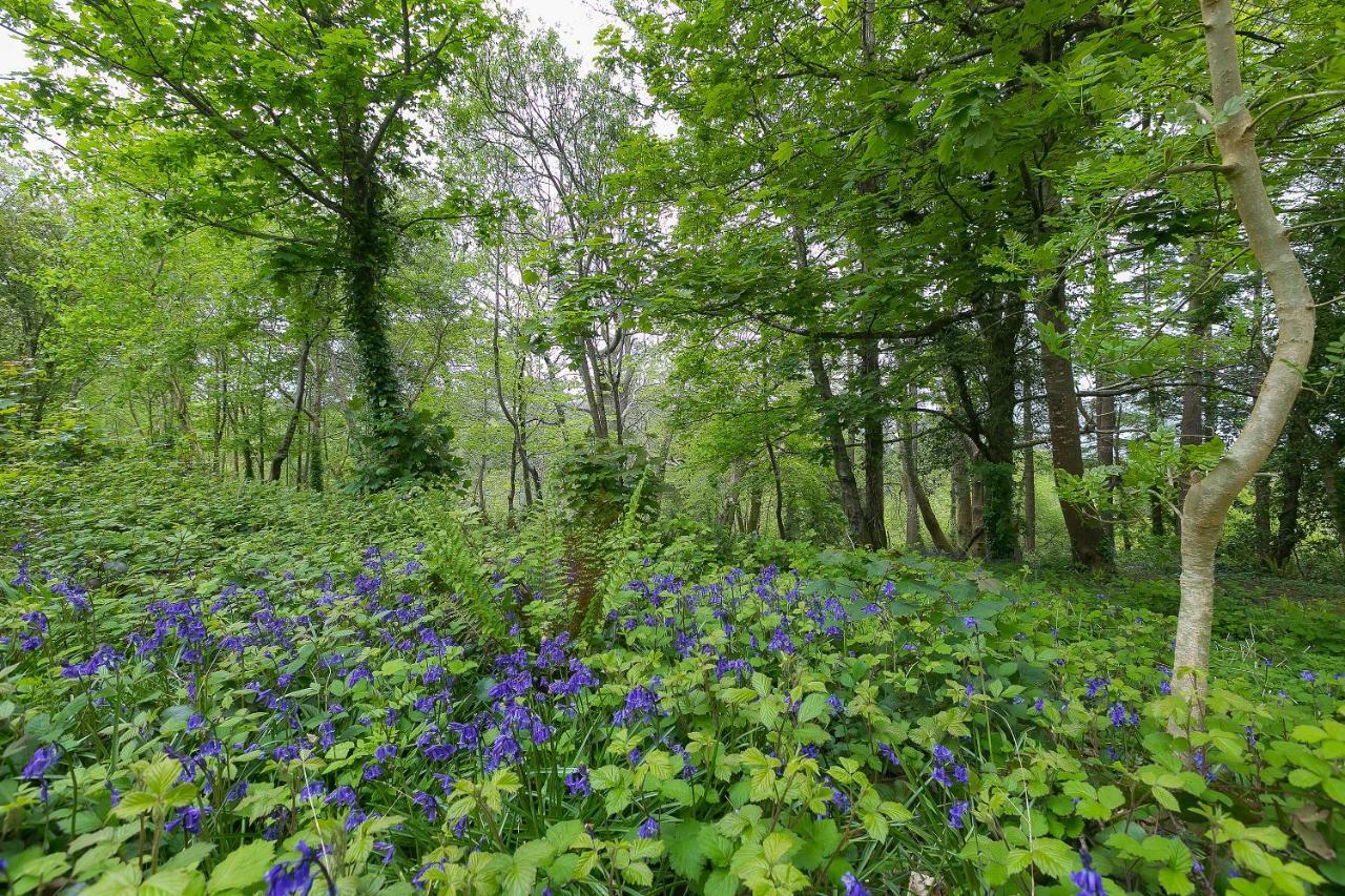 Cosy Woodland Home Uny Lelant Εξωτερικό φωτογραφία