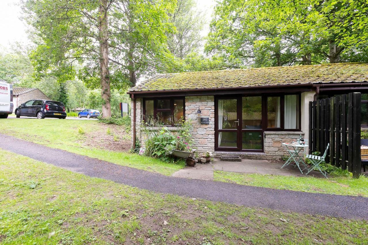 Cosy Woodland Home Uny Lelant Εξωτερικό φωτογραφία